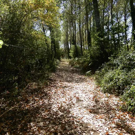 度假居 Logis Vendeen 10-12 Personnes. Piscine Et Parc.