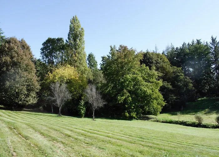 Logis Vendeen 10-12 Personnes. Piscine Et Parc. * La Jaudonniere