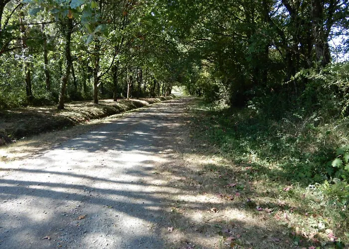 Logis Vendeen 10-12 Personnes. Piscine Et Parc. La Jaudonniere