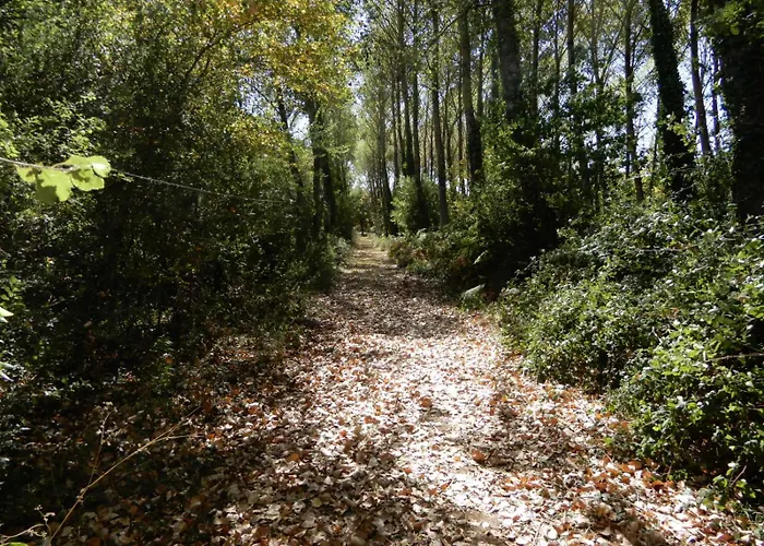 بيت للعطل Logis Vendeen 10-12 Personnes. Piscine Et Parc.